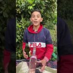 ¿Qué técnicas de bricolaje hay para controlar las plagas en casa?