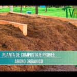 ¿Cómo puedo crear un sistema de compostaje?